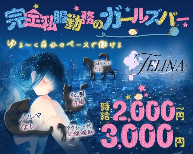 FELINA（フェリナ）(天王寺ガールズバー)の求人・体験入店情報