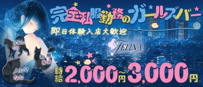 FELINA（フェリナ） 天王寺ガールズバー 即日体入募集バナー