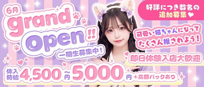 【東武東上線志木駅】Cat Connect（キャット コネクト） 川越ガールズバー 即日体入募集バナー