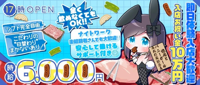 焼肉とバニーガール西武新宿駅前店(歌舞伎町ガールズバー)の求人・体験入店情報