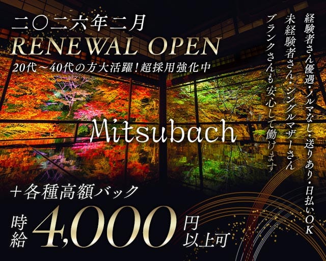 Mitsubachi（ミツバチ）の姉キャバ・半熟キャバ体入