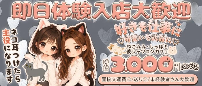 【昼・夜】コンカフェにゃんころ 梅田ガールズバー 即日体入募集バナー