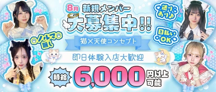 【歌舞伎町】にゃんふぇりあ(歌舞伎町ガールズバー)の求人・体験入店情報