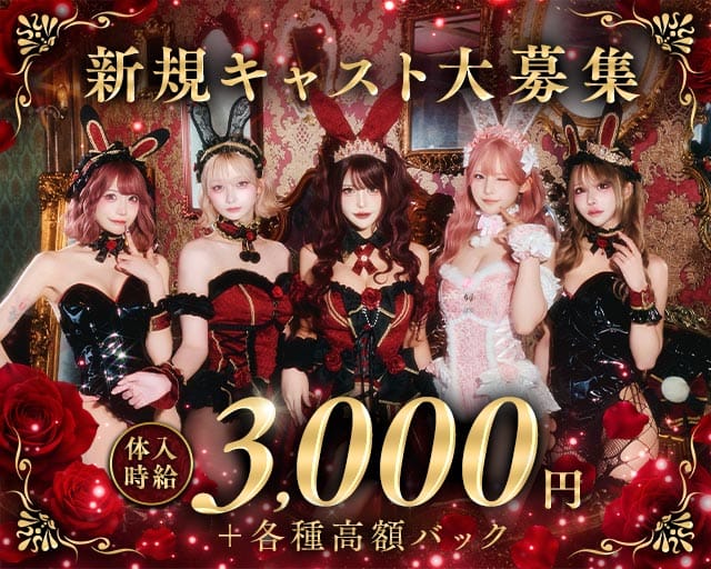 Bisquedoll the Bunny（ビスクドール ザ バニー）のガールズバー体入
