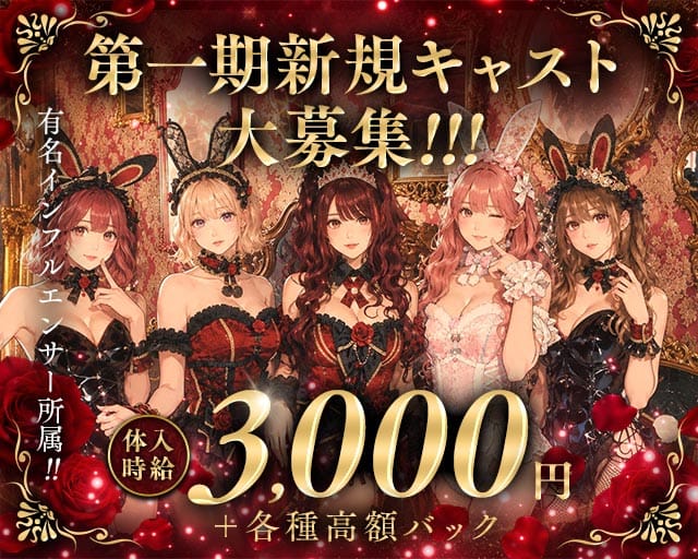 Bisquedoll the Bunny（ビスクドール ザ バニー）(難波ガールズバー)の求人・体験入店情報