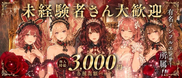 Bisquedoll the Bunny（ビスクドール ザ バニー） 難波ガールズバー 未経験募集バナー