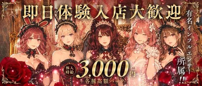 Bisquedoll the Bunny（ビスクドール ザ バニー） 難波ガールズバー 即日体入募集バナー