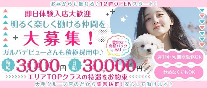 【小田原/昼・夜】Girls Bar Lounge & Co.（アンドコー） 平塚ガールズバー 即日体入募集バナー