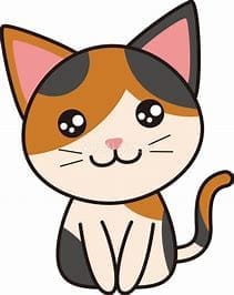 働くか決めてなくてもOK。まずはLuceを見に来ませんか？