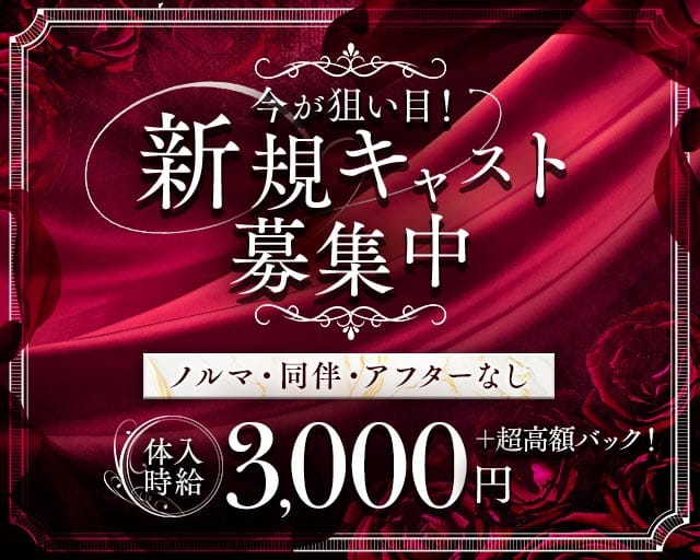Lounge Silvia（シルビア）のラウンジ体入