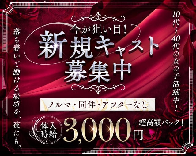 Lounge Silvia（シルビア）のラウンジ体入
