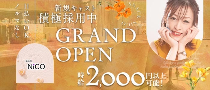 【すすきの】SNACK NiCO（ニコ）(すすきのスナック)の求人・体験入店情報