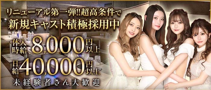 KANALOA（カナロア）(高田馬場キャバクラ)の求人・体験入店情報