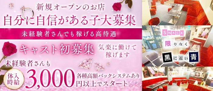 【松戸】スナック 限りなく黒に近い青(松戸スナック)の求人・体験入店情報