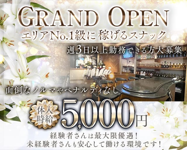 【甲府】スナック Lily（リリー）のスナック体入