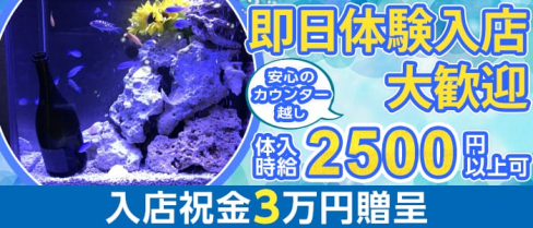 AQUA Girl's Bar鶴見店(アクアガールズバー)【公式求人情報】(川崎ガールズバー)の求人・体験入店情報