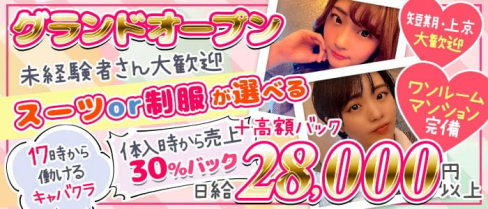 Olive 新橋店(オリーブ)【公式出稼ぎ求人情報】(新橋キャバクラ)の求人・バイト・体験入店情報