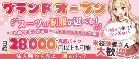 Olive 新橋店(オリーブ)【公式出稼ぎ求人情報】(上野キャバクラ)の求人・バイト・体験入店情報