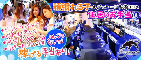 STYLISH BAR レオパルド【公式求人情報】(三宮ガールズバー)の求人・バイト・体験入店情報