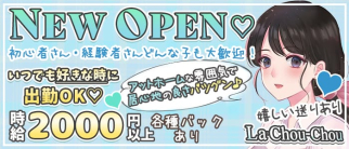 La・Chou-Chou(ラ・シュシュ)【公式求人・体入情報】(京橋ガールズバー)の求人・体験入店情報