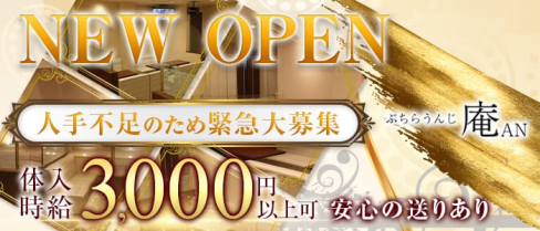 プチラウンジ庵 AN(アン)【公式求人・体入情報】(新大宮ラウンジ)の求人・体験入店情報