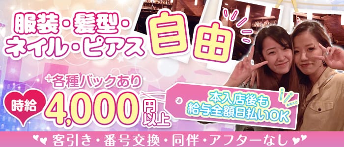 ガールズバー やかた(川崎ガールズバー)の求人・体験入店情報