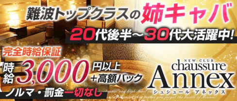 chaussure Annex(シュシュール アネックス)【公式求人情報】(難波姉キャバ・半熟キャバ)の求人・バイト・体験入店情報