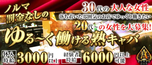 お姉さん系キャバクラA~エース~【公式求人・体入情報】(赤羽姉キャバ・半熟キャバ)の求人・体験入店情報