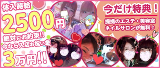 Girls Bar チィキィパラダイス【公式求人情報】