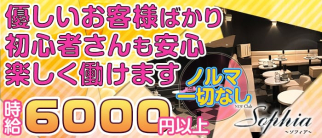 New Club Sophia(ソフィア)【公式求人情報】