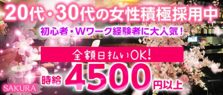 CLUB 桜(サクラ)【公式求人・体入情報】(草加姉キャバ・半熟キャバ)の求人・体験入店情報