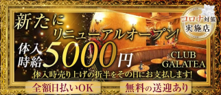 GALATEA(ガラティア)【公式求人・体入情報】(国分寺キャバクラ)の求人・体験入店情報