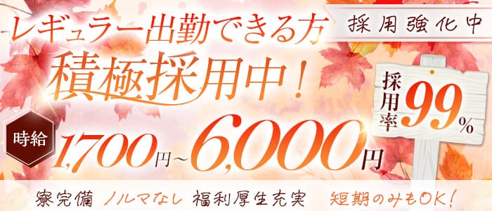 【栄】キャバレー花園 住吉町店(錦キャバクラ)の求人・体験入店情報