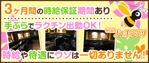 CLUB ハチミツ【公式求人情報】(所沢キャバクラ)の求人・バイト・体験入店情報