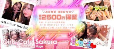 【昼夜】GILRS CAFE SAKURA(サクラ)【公式求人・体入情報】(桜木町ガールズバー)の求人・体験入店情報