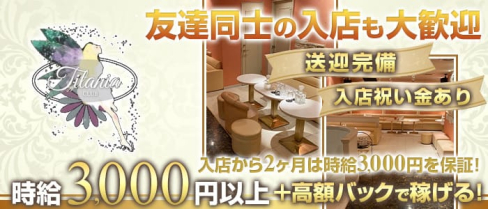 Titania(ティターニア)【公式求人・体入情報】(長岡キャバクラ)の求人・体験入店情報