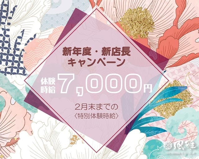 THE LOUNGE 風雅の求人情報