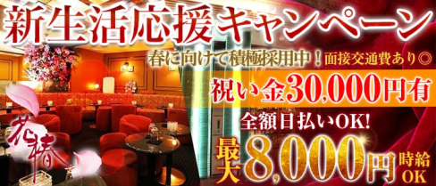 横浜花椿【公式求人情報】(横浜キャバクラ)の求人・バイト・体験入店情報