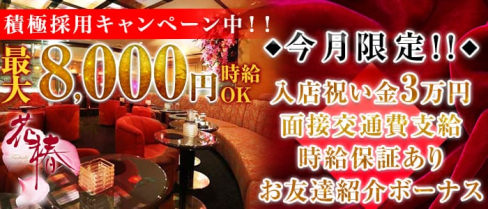 横浜花椿【公式求人情報】(横浜キャバクラ)の求人・バイト・体験入店情報