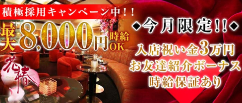 横浜花椿【公式求人情報】(横浜キャバクラ)の求人・バイト・体験入店情報