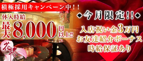 横浜花椿【公式求人情報】(横浜キャバクラ)の求人・バイト・体験入店情報