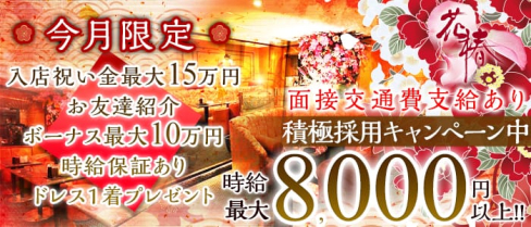 横浜花椿【公式求人情報】(横浜キャバクラ)の求人・バイト・体験入店情報