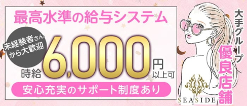 関内SEASIDE~シーサイド~【公式出稼ぎ求人情報】(関内キャバクラ)の求人・バイト・体験入店情報