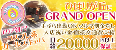 Honey&Syrup(ハニー&シロップ)【公式求人情報】(ひばりヶ丘キャバクラ)の求人・バイト・体験入店情報