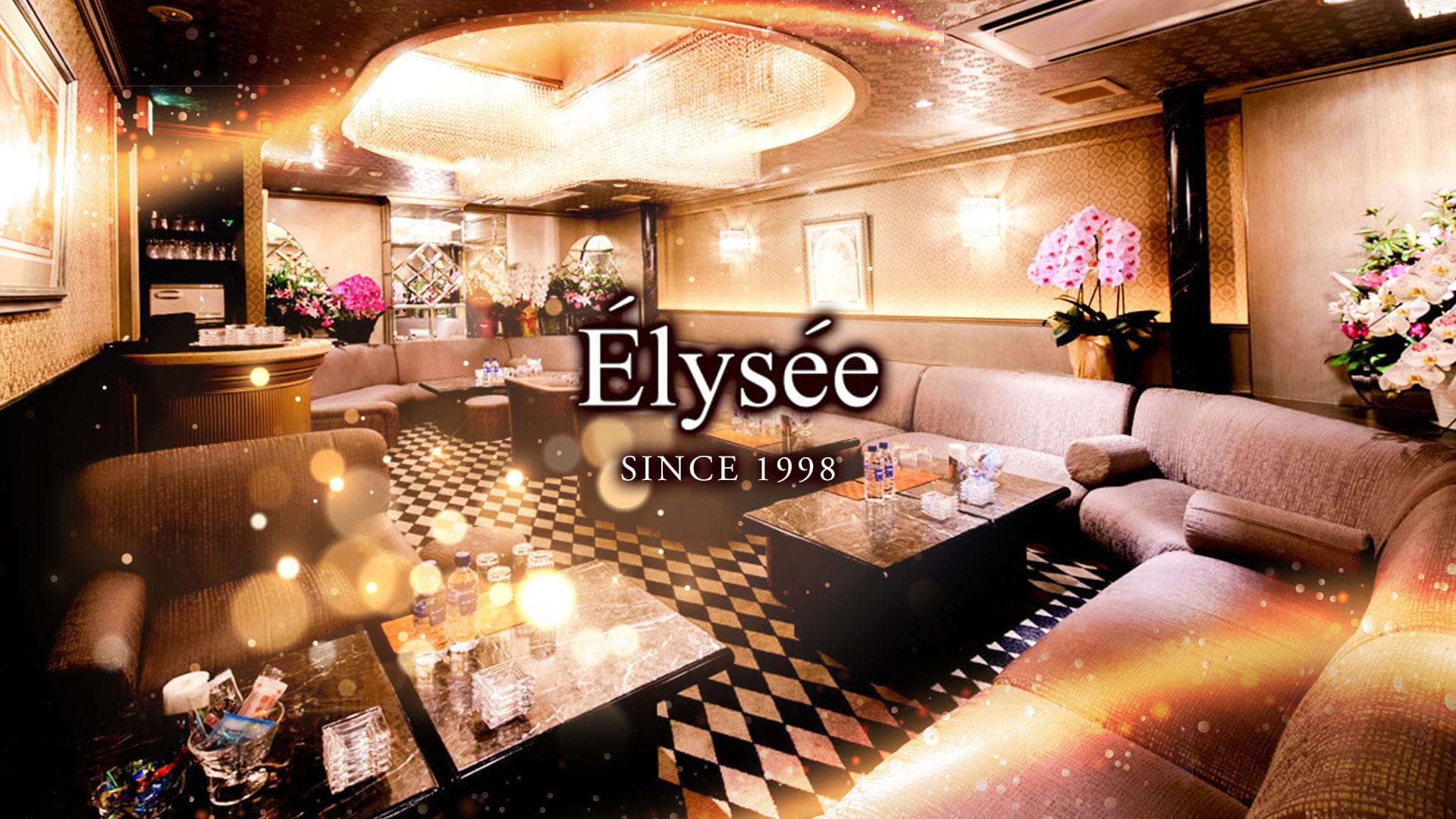 Elysee～エリゼ～【公式求人・体入情報】 六本木クラブ TOP画像