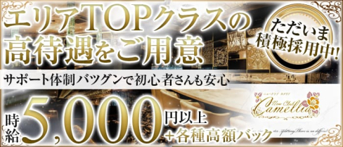 New Club Camellia(カメリア)【公式求人情報】(天文館クラブ)の求人・体験入店情報