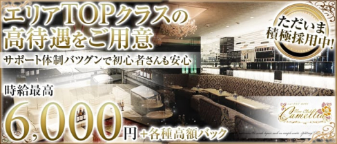 New Club Camellia(カメリア)【公式求人情報】(天文館クラブ)の求人・体験入店情報