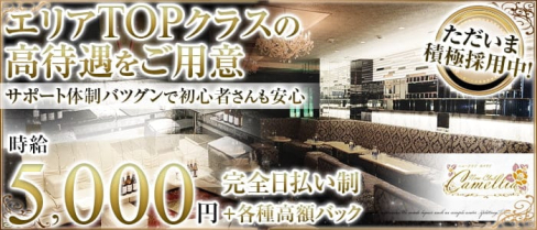 New Club Camellia(カメリア)【公式求人情報】(天文館クラブ)の求人・体験入店情報