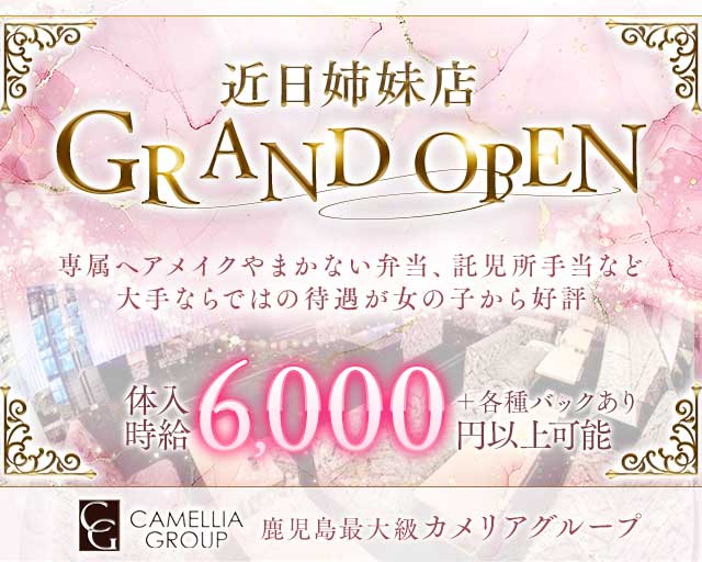 New Club Camellia(カメリア)のニュークラブ体入