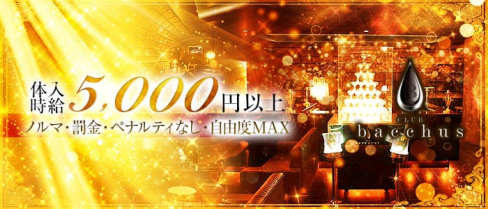 CLUB bacchus (クラブ バッカス)【公式求人情報】(片町キャバクラ)の求人・バイト・体験入店情報